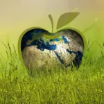 Jak ekologicznie nawozić ziemię