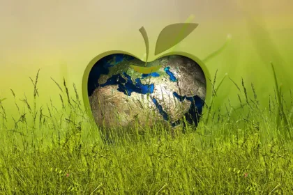 Jak ekologicznie nawozić ziemię